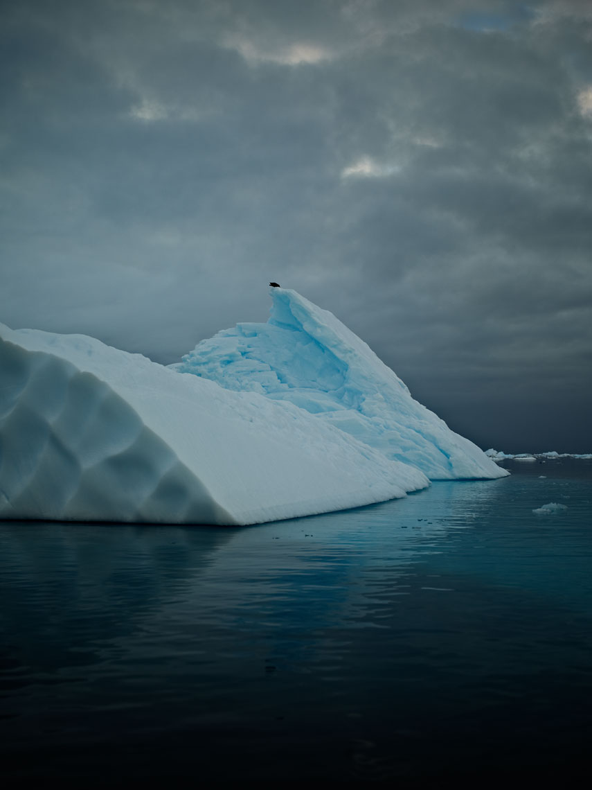 49-antarcticaCF004368-copy