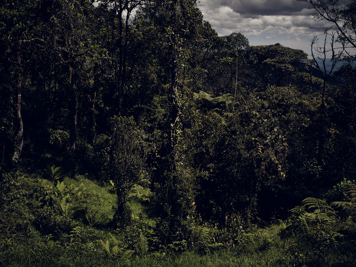 Santiago Vanegas Photography