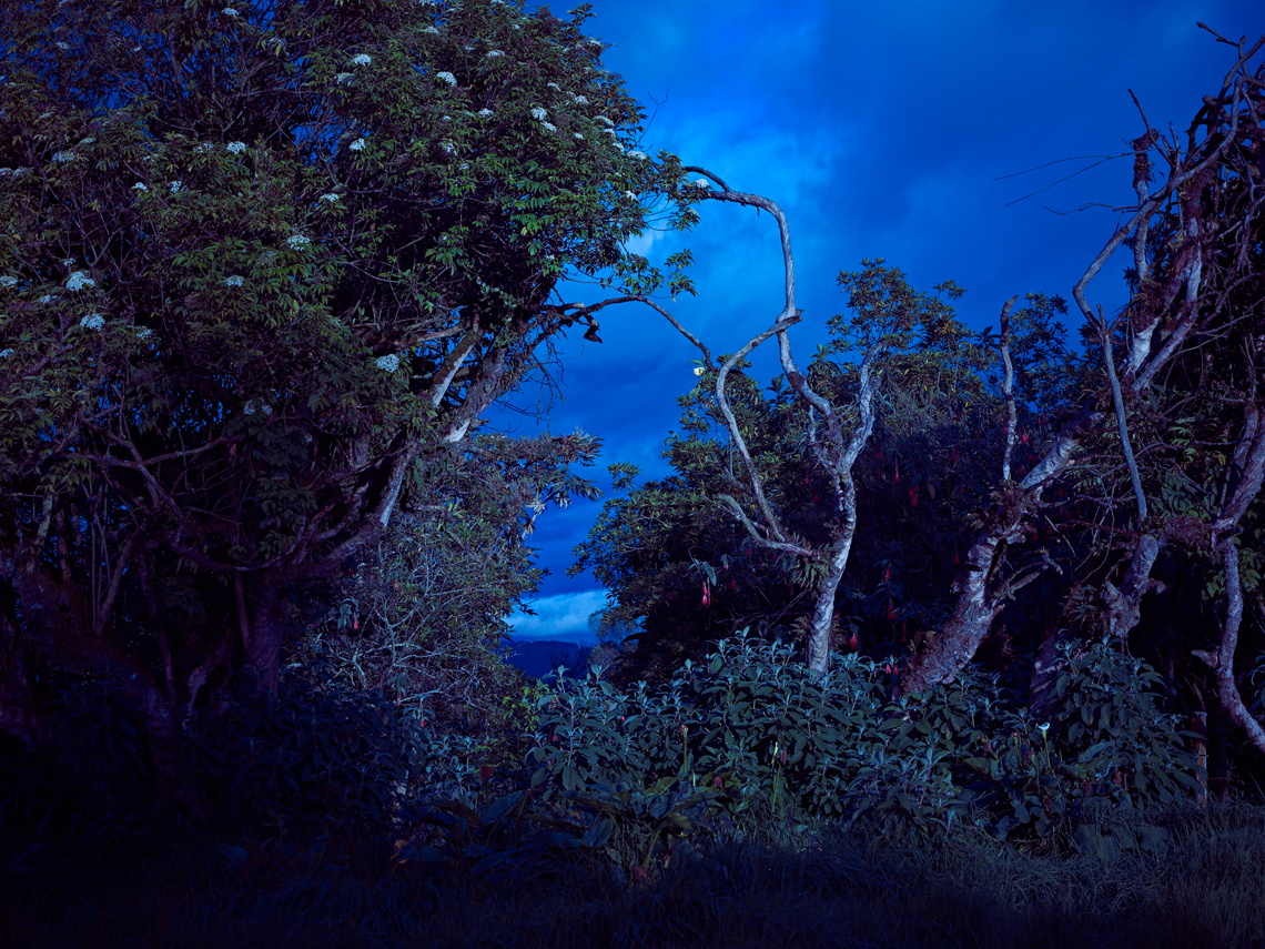 Santiago Vanegas Photography