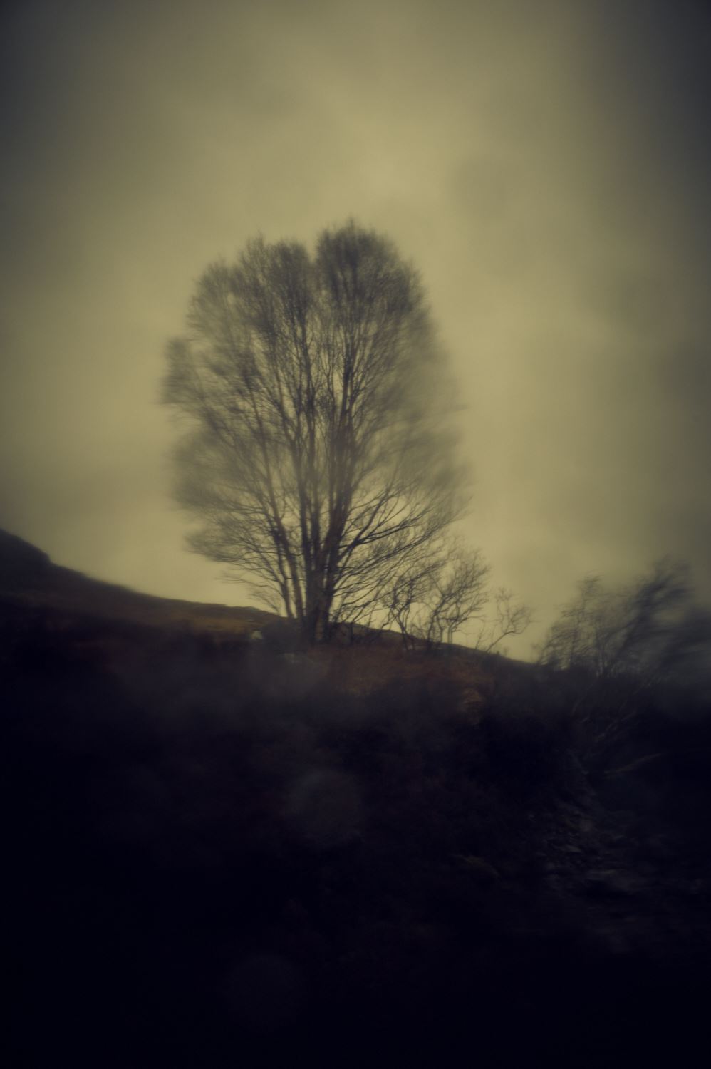 leicameet_1143