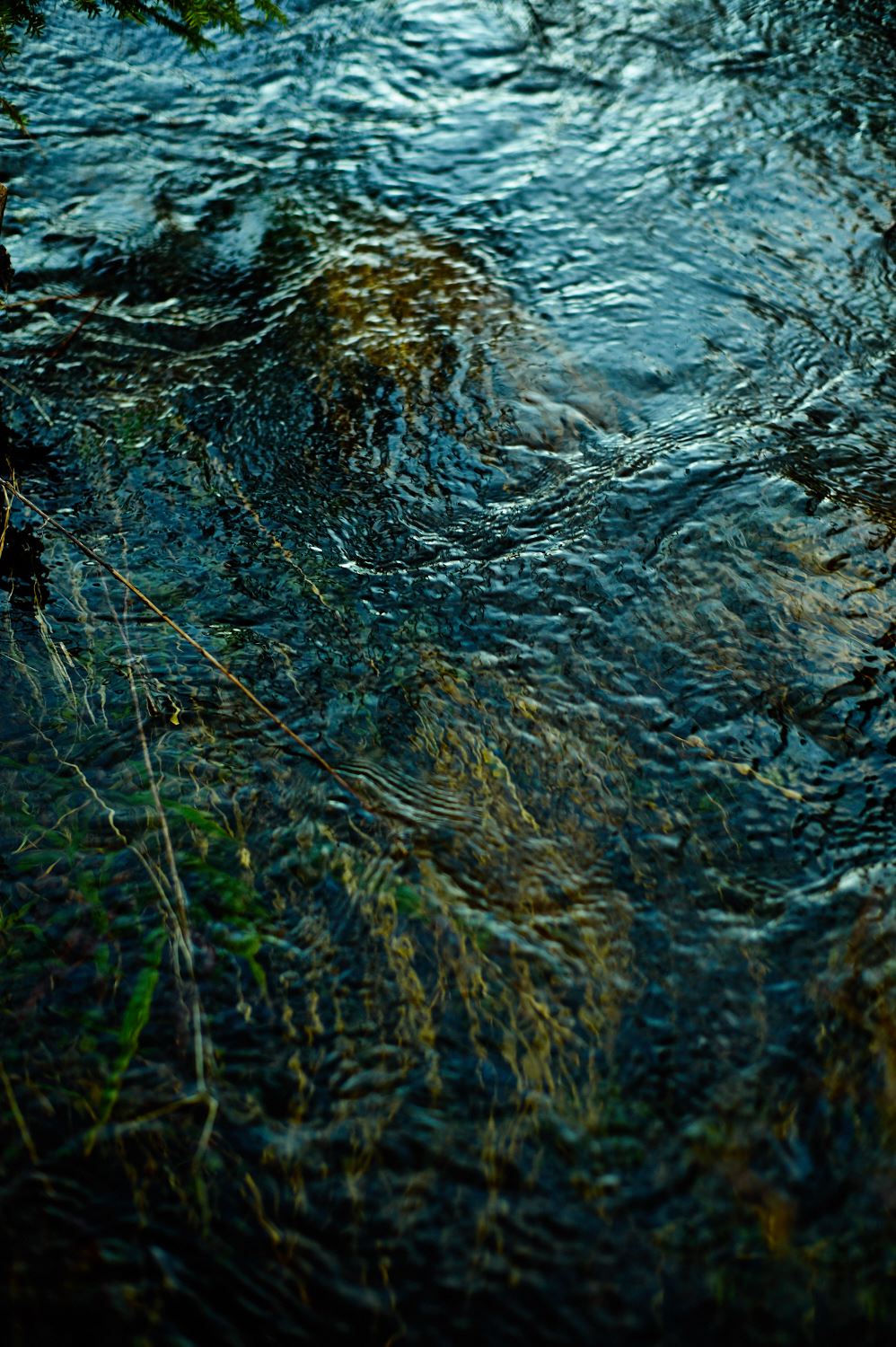 leicameet_19