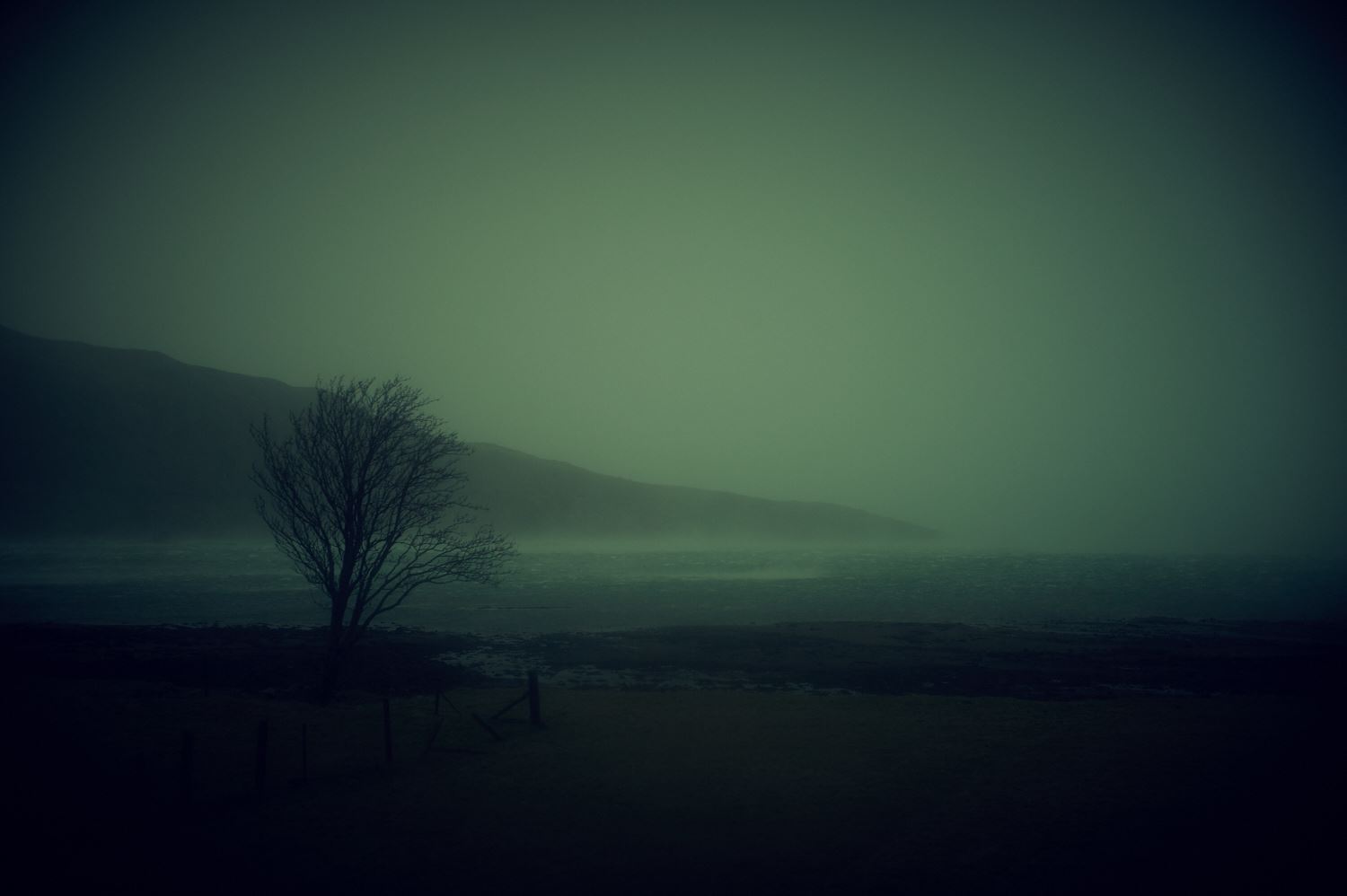 leicameet_349